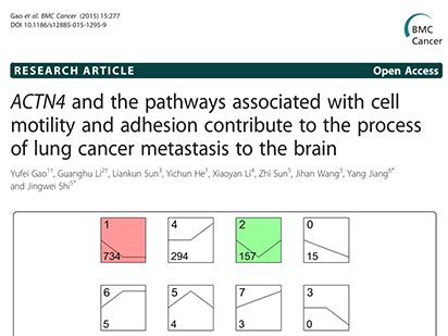 Gao Y, et al. ACTN4?and the?pathways?associated with cell motility and adhesion contribute to the process of lung cancer metastasis to the brain. BMC Cancer.?2015 Apr 12;15:277. (IF=3.362)