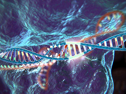 Liu, L. Y. et al. A novel functional missense mutation p.T219A in type 1 Gaucher`s disease. Chin. Med. J. (Engl). 2016 May;129(9):1072-1077. (IF=1.064)