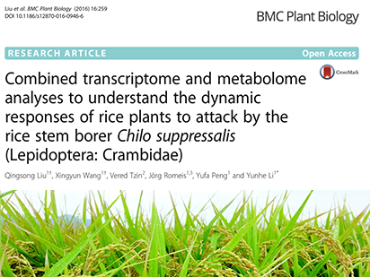 Liu Q, et al. Combined transcriptome and metabolome analyses to understand the dynamic responses of rice plants to attack by the rice stem borer Chilo suppressalis (Lepidoptera: Crambidae). BMC Plant Biol.?2016 Dec 7;16(1):259. (IF=3.631)