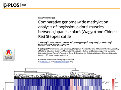 Fang X, et al. Comparative genome wide methylation analysis of longissimus dorsi muscles between Japanese black (Wagyu) and Chinese Red Steppe cattle. PLoS One.?2017 Aug 3;12(8):e0182492.(IF=2.806)