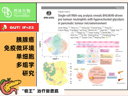 GUT重磅來襲！單細胞+空轉+免疫熒光的王炸組合，烈冰助力交大醫(yī)學院研究團隊解析胰腺癌免疫微環(huán)境