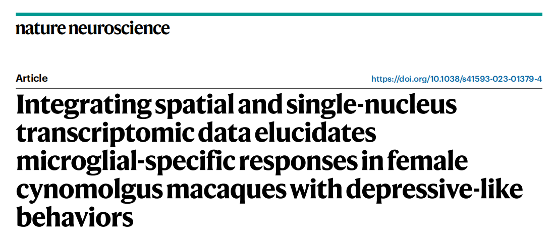 【烈冰助力】單細(xì)胞核測(cè)序+空間組學(xué)，烈冰生物助力重醫(yī)附一院神經(jīng)內(nèi)科團(tuán)隊(duì)解析抑郁行為發(fā)生新機(jī)制