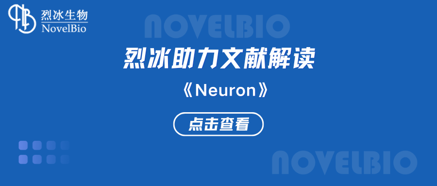 【烈冰助力】腫瘤-神經(jīng)交界處的鉀離子通道增強(qiáng)癲癇膠質(zhì)母細(xì)胞瘤的神經(jīng)元興奮性